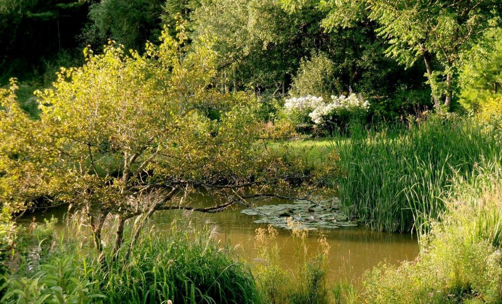 Auberge Restaurant La Mara Saint-Joseph-de-Ham-Sud Екстериор снимка